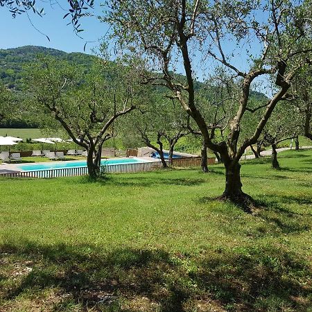Il Vecchio Gelso - Agriturismo Rimini Montefiore Conca Βίλα Εξωτερικό φωτογραφία