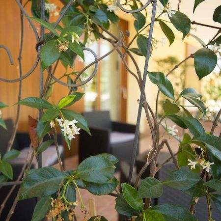 Il Vecchio Gelso - Agriturismo Rimini Montefiore Conca Βίλα Εξωτερικό φωτογραφία