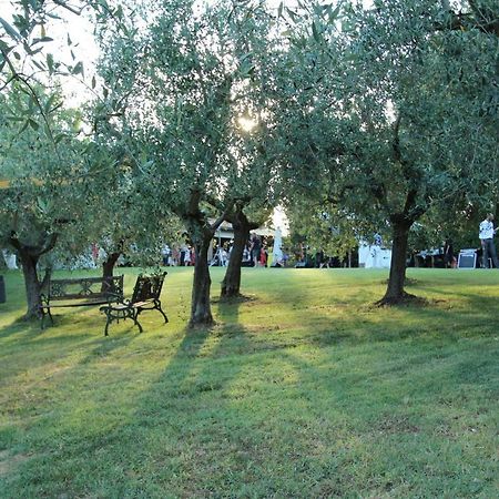 Il Vecchio Gelso - Agriturismo Rimini Montefiore Conca Βίλα Εξωτερικό φωτογραφία