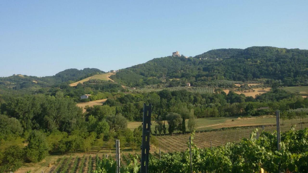 Il Vecchio Gelso - Agriturismo Rimini Montefiore Conca Βίλα Εξωτερικό φωτογραφία