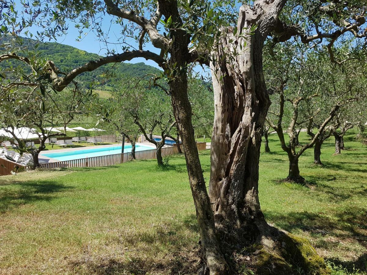 Il Vecchio Gelso - Agriturismo Rimini Montefiore Conca Βίλα Εξωτερικό φωτογραφία