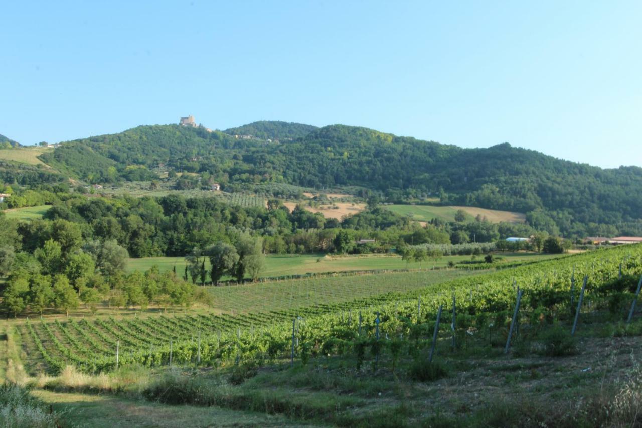 Il Vecchio Gelso - Agriturismo Rimini Montefiore Conca Βίλα Εξωτερικό φωτογραφία