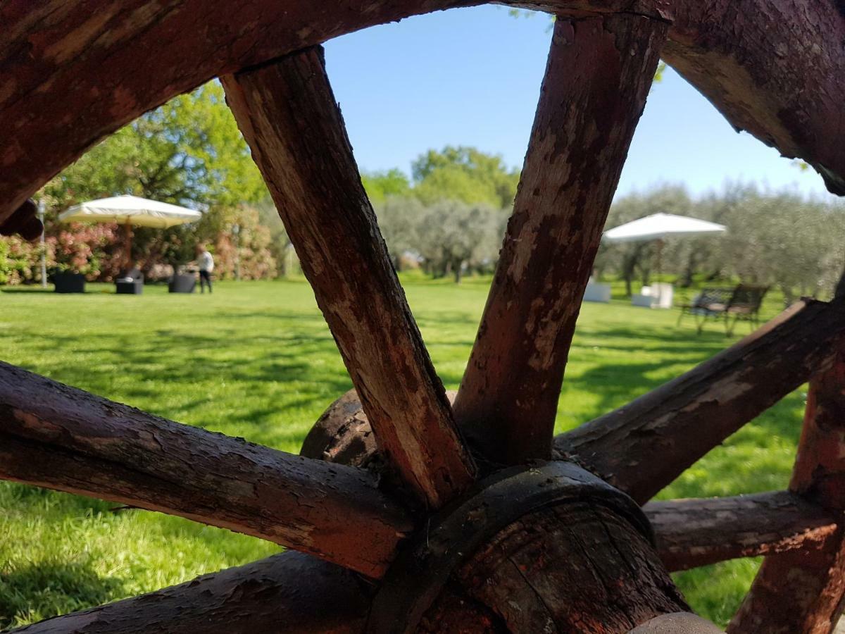 Il Vecchio Gelso - Agriturismo Rimini Montefiore Conca Βίλα Εξωτερικό φωτογραφία