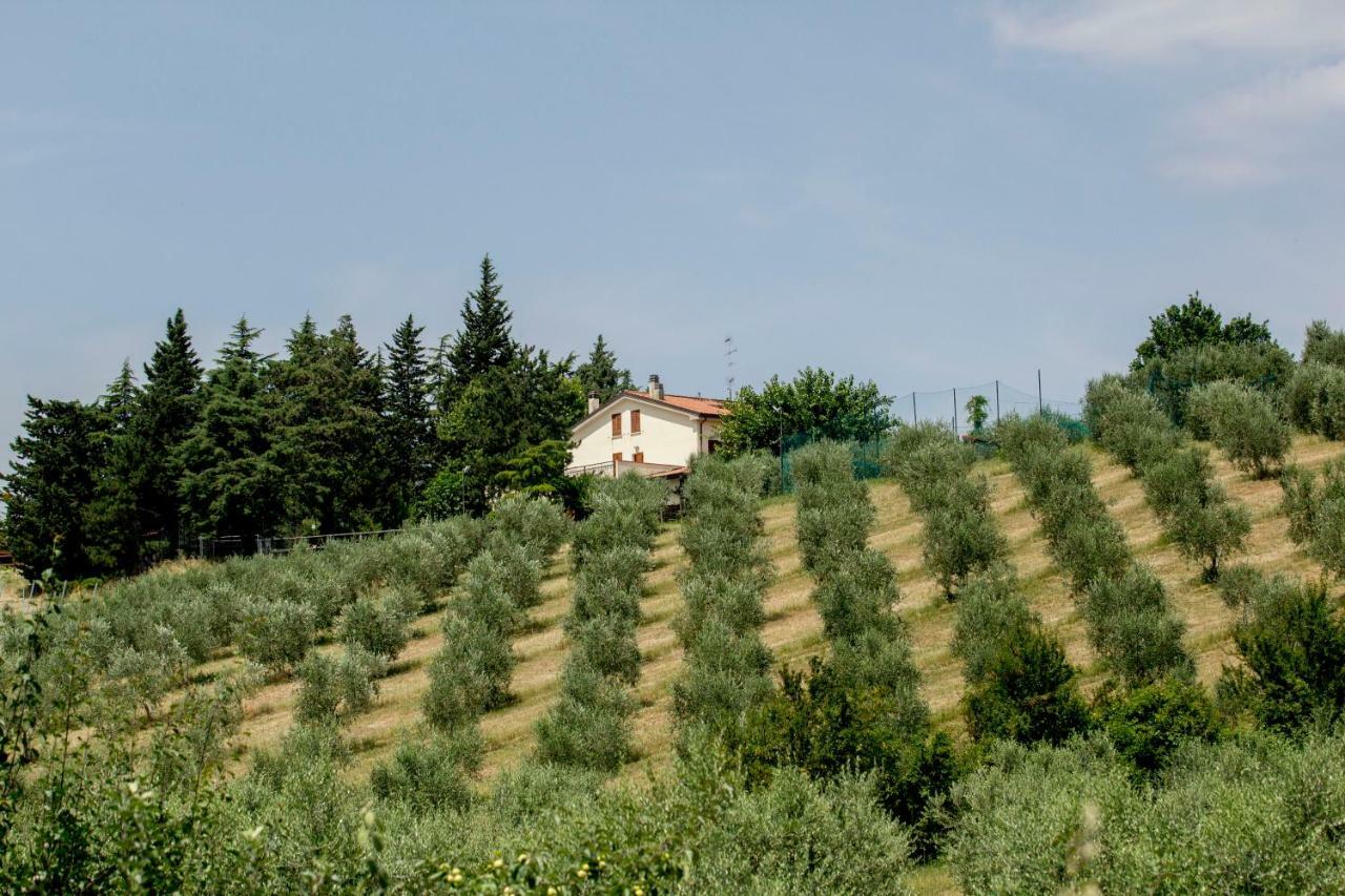 Il Vecchio Gelso - Agriturismo Rimini Montefiore Conca Βίλα Εξωτερικό φωτογραφία