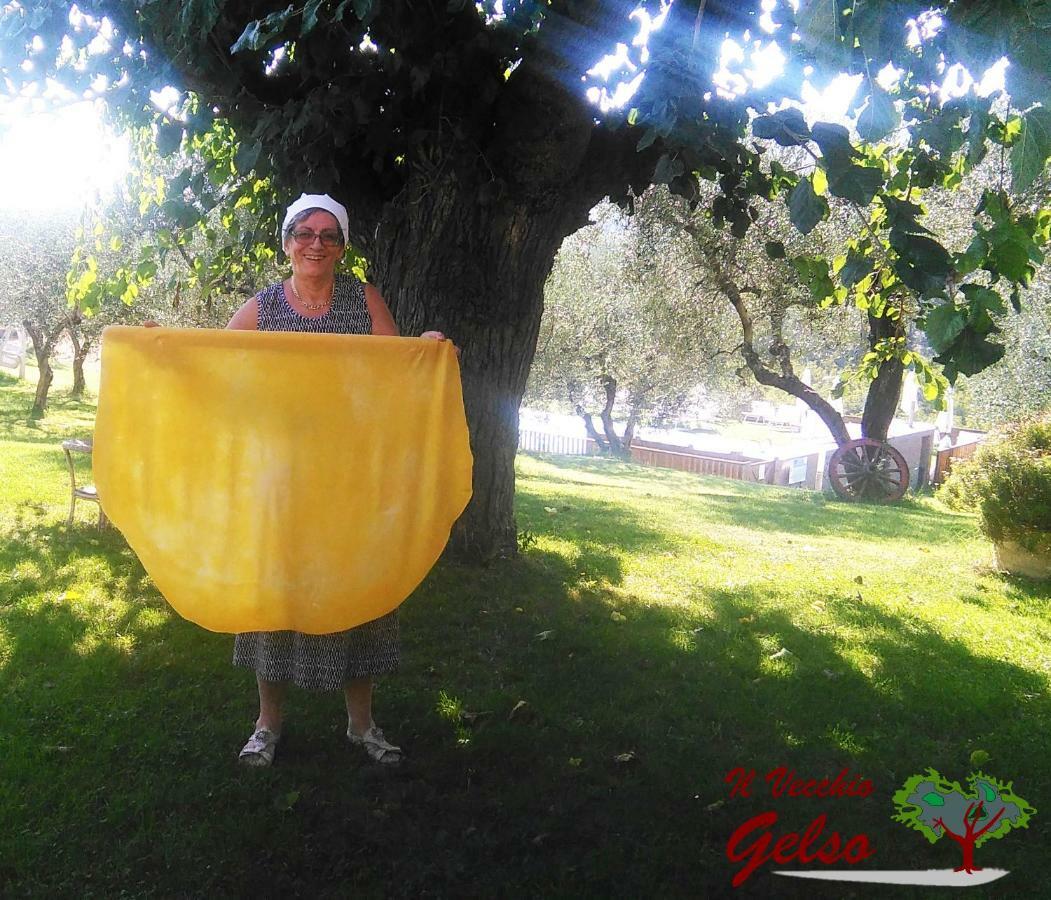 Il Vecchio Gelso - Agriturismo Rimini Montefiore Conca Βίλα Εξωτερικό φωτογραφία