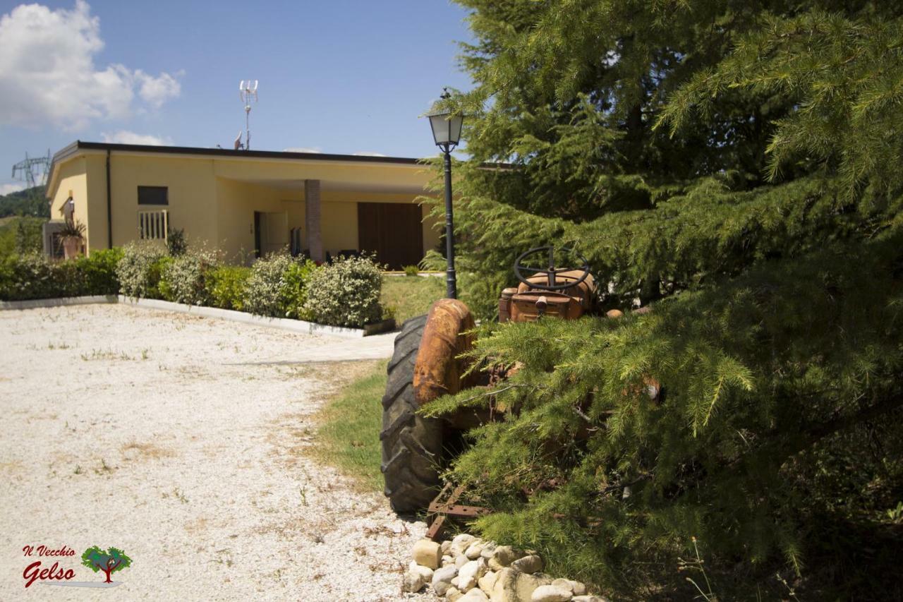Il Vecchio Gelso - Agriturismo Rimini Montefiore Conca Βίλα Εξωτερικό φωτογραφία