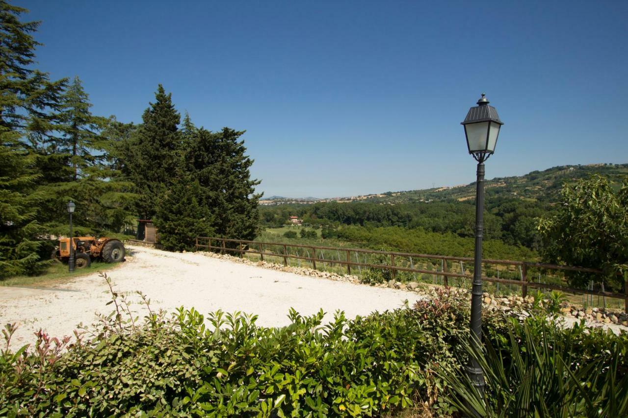 Il Vecchio Gelso - Agriturismo Rimini Montefiore Conca Βίλα Εξωτερικό φωτογραφία