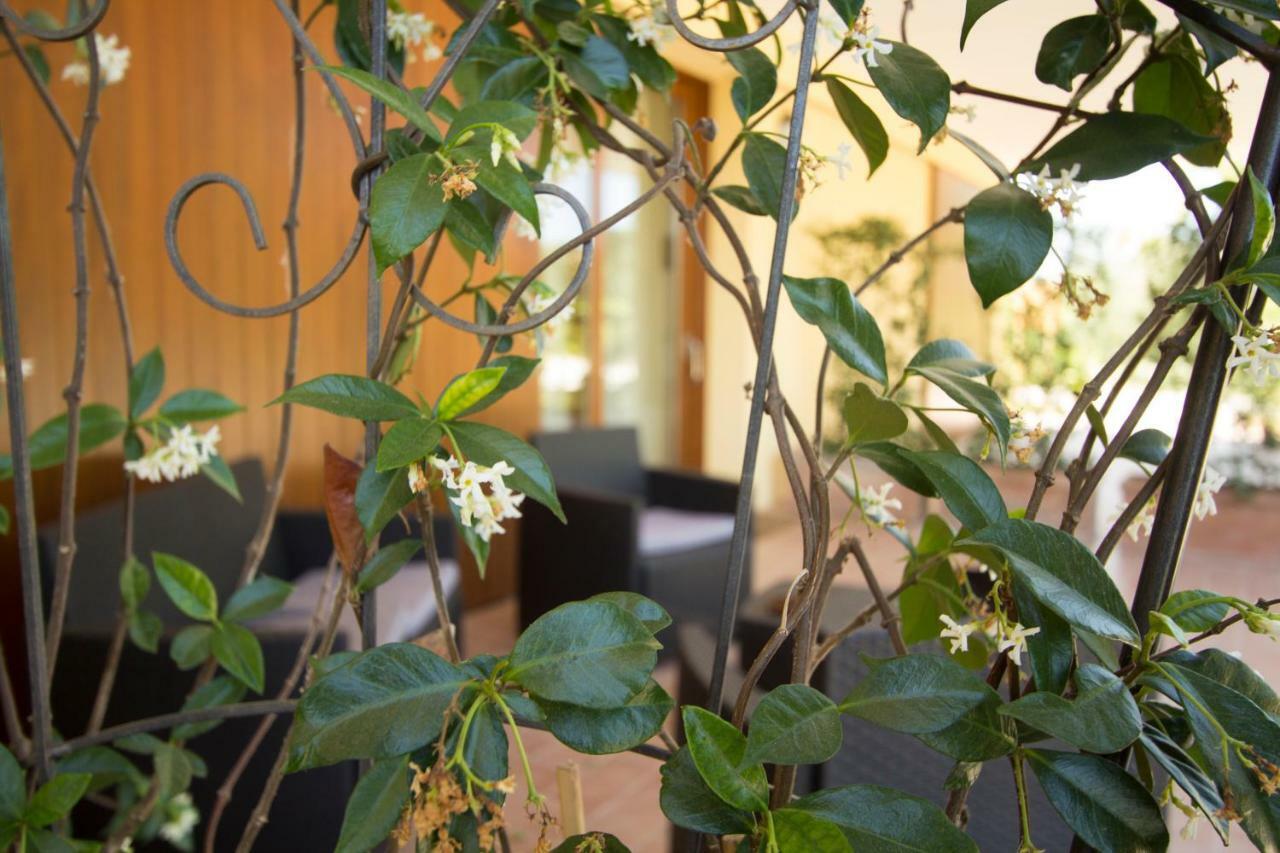 Il Vecchio Gelso - Agriturismo Rimini Montefiore Conca Βίλα Εξωτερικό φωτογραφία