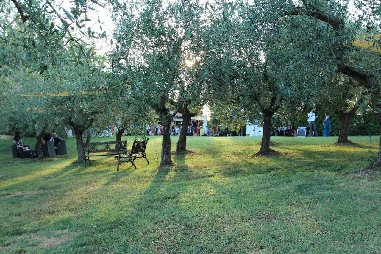 Il Vecchio Gelso - Agriturismo Rimini Montefiore Conca Βίλα Εξωτερικό φωτογραφία