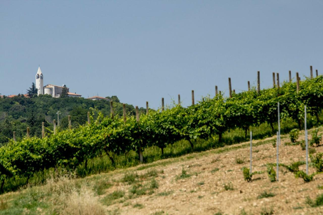 Il Vecchio Gelso - Agriturismo Rimini Montefiore Conca Βίλα Εξωτερικό φωτογραφία